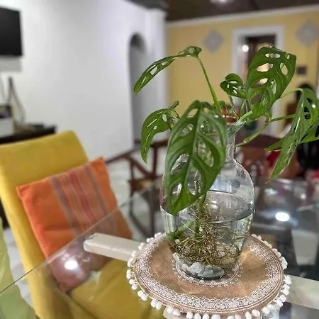 Apartamento Acogedor, Con La Mejor Ubicacion Y Patio Privado